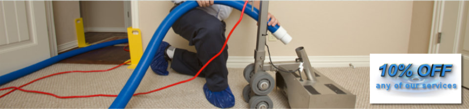 carpet restoration toronto cleaning pet stains odors